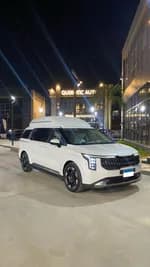 Kia Carnival 2024 (4)
