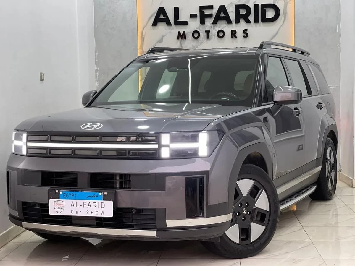 Hyundai Santa Fe 2024 (1)