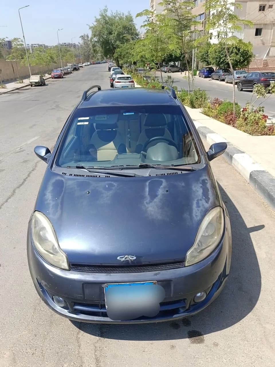 Speranza A113 2008 (1)