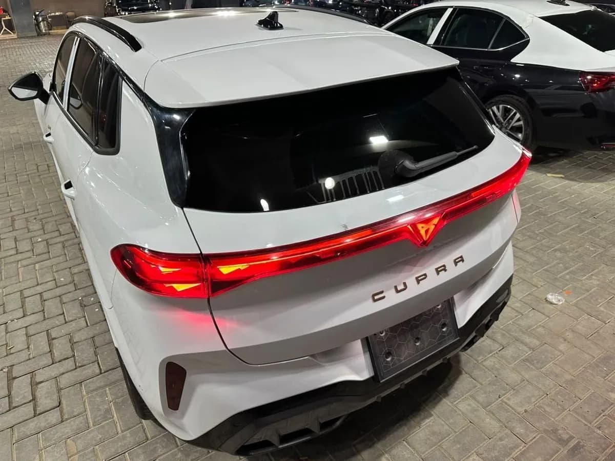 Cupra Terramar 2026 (1)
