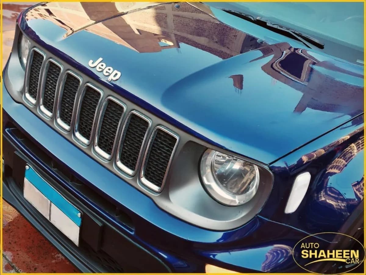 Jeep Renegade 2019 (1)