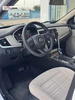 MG Rx5 2020 (6)
