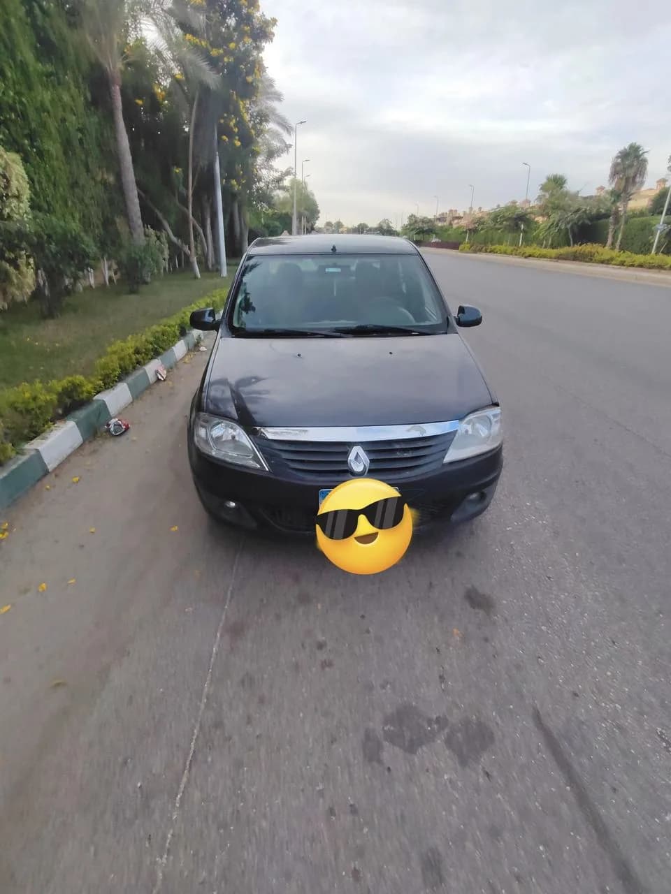 Renault Logan 2013 (1)