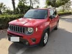 Jeep Renegade 2019 (0)