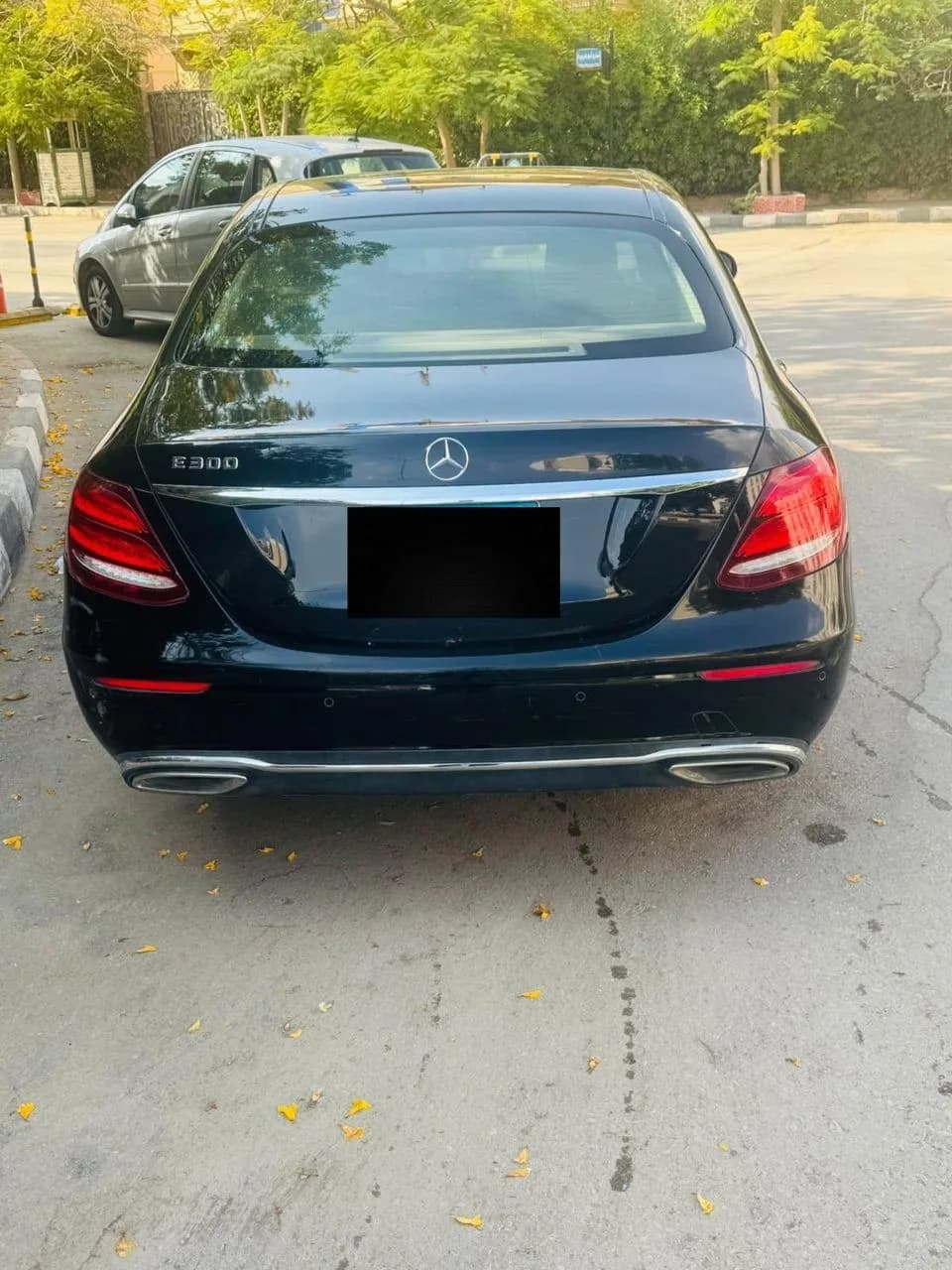 Mercedes E 300 2020 (1)