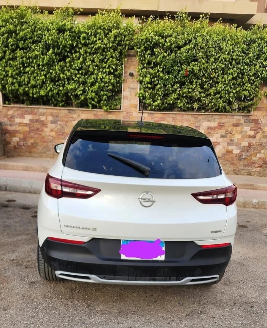 Opel Grandland 2020 (1)
