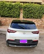 Opel Grandland 2020 (1)