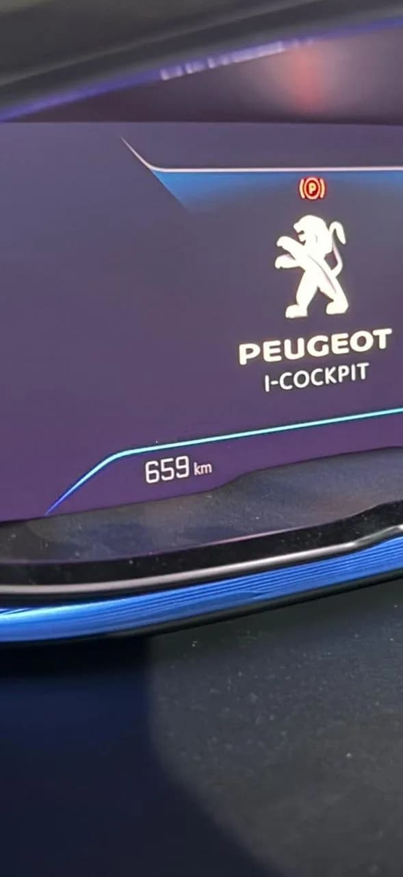 Peugeot 3008 2022 (6)