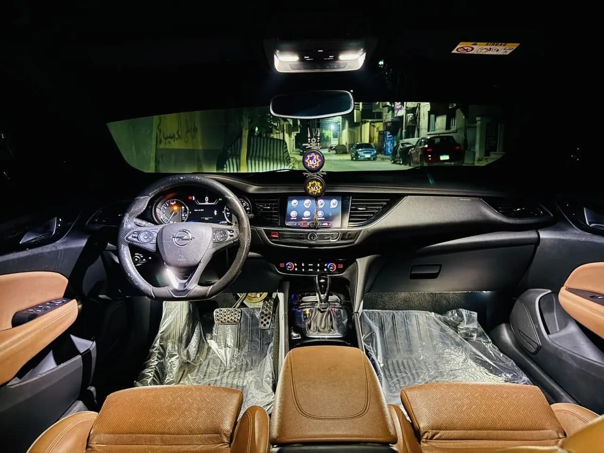 Opel Insignia 2020 (1)