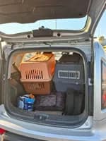 Kia Soul 2010 (4)