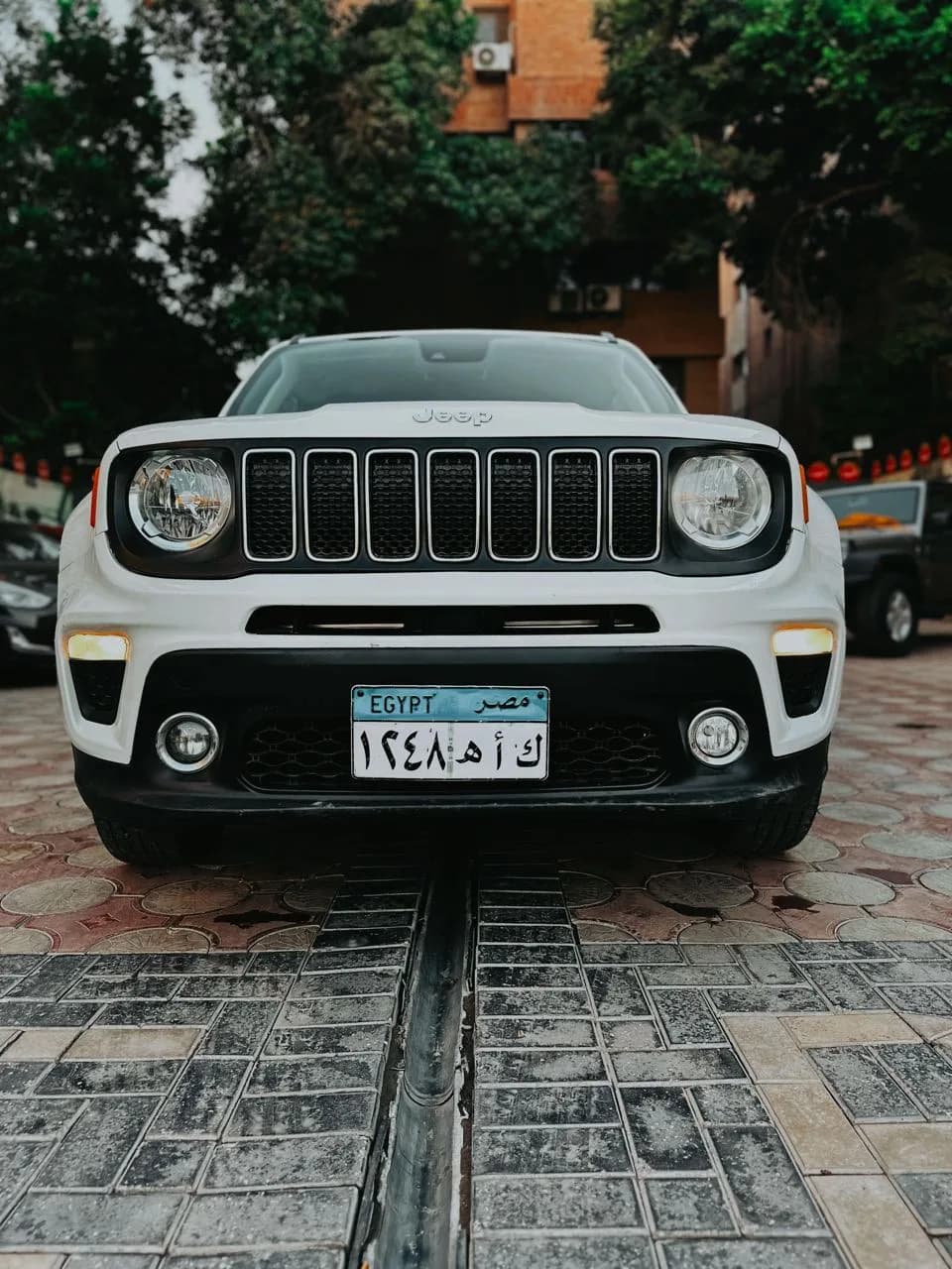 Jeep Renegade 2022 (0)