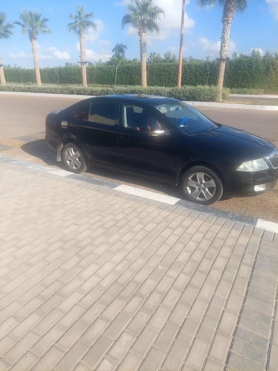 Škoda Octavia A5 2007 (0)