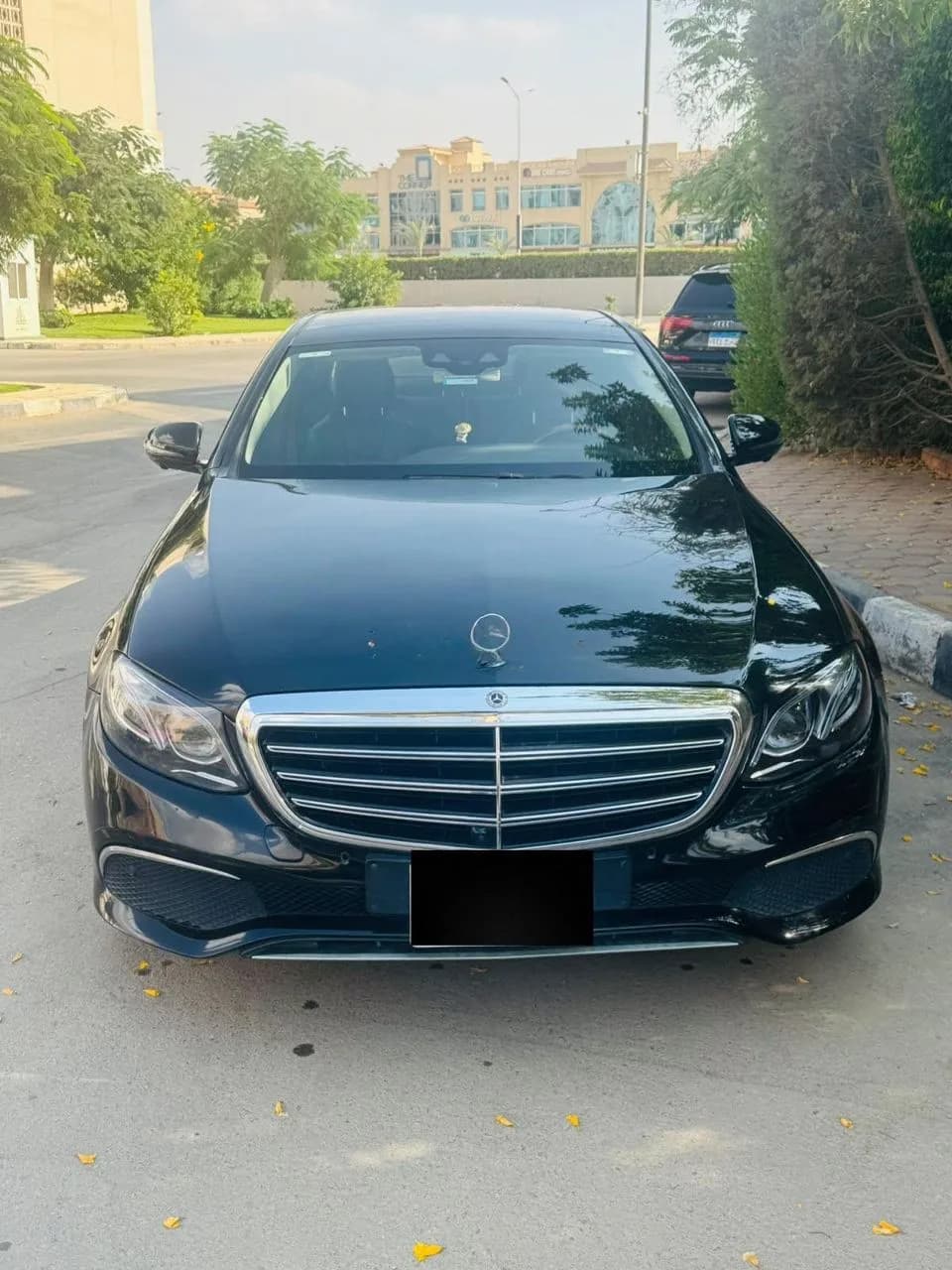 Mercedes E 300 2020 (0)