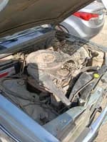Mercedes 200 1981 (5)