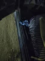 Chana Other 1996 (4)