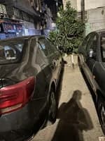 Renault Logan 2018 (6)