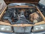 Mercedes 230 1977 (3)