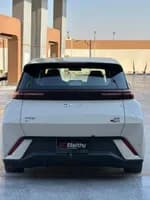 BYD Seagull 2025 (3)