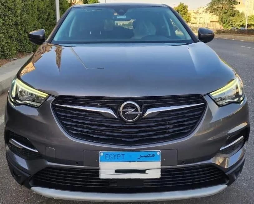 Opel Grandland 2020 (0)