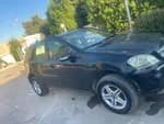 Mercedes-Benz ml 2006 (11)