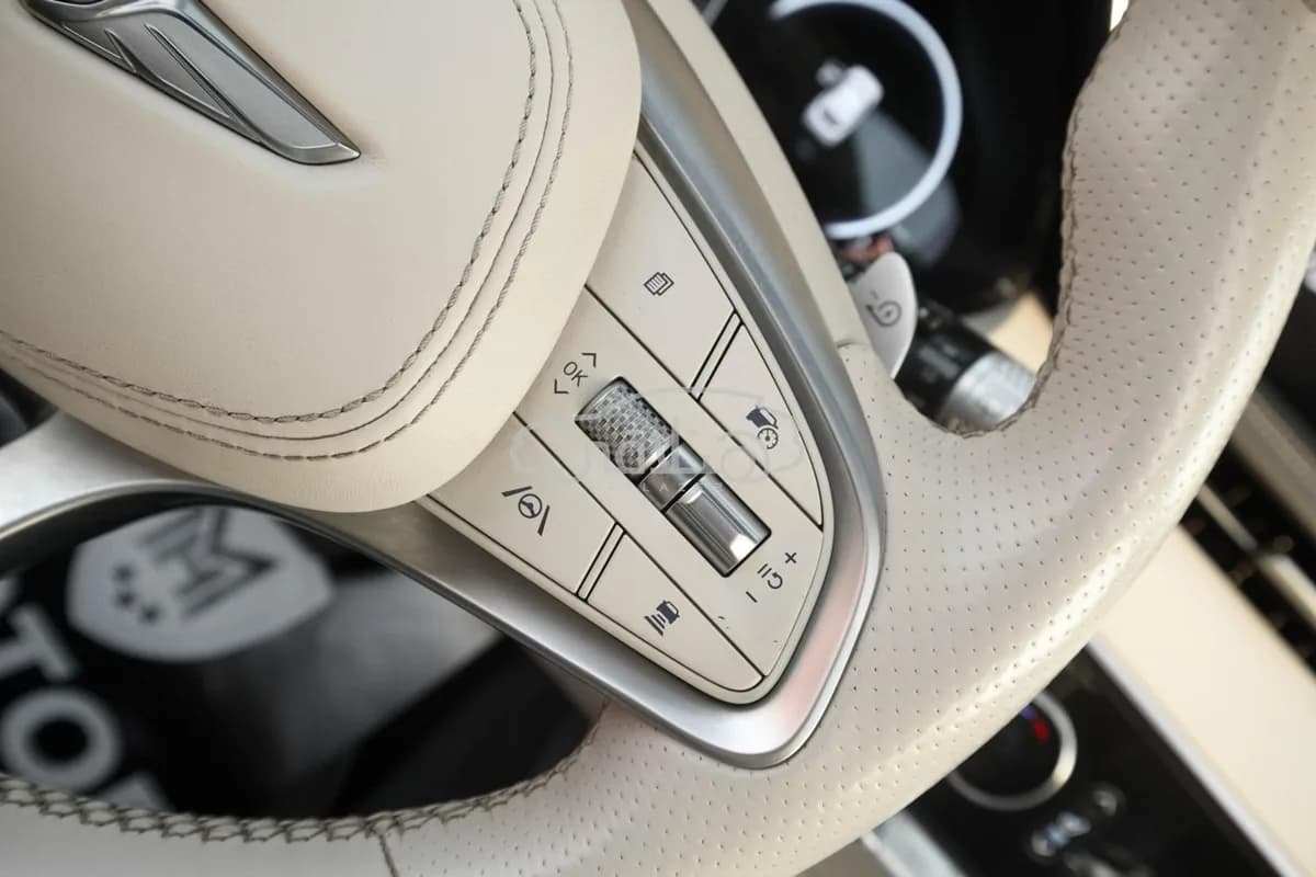 Hyundai Genesis 2024 (1)