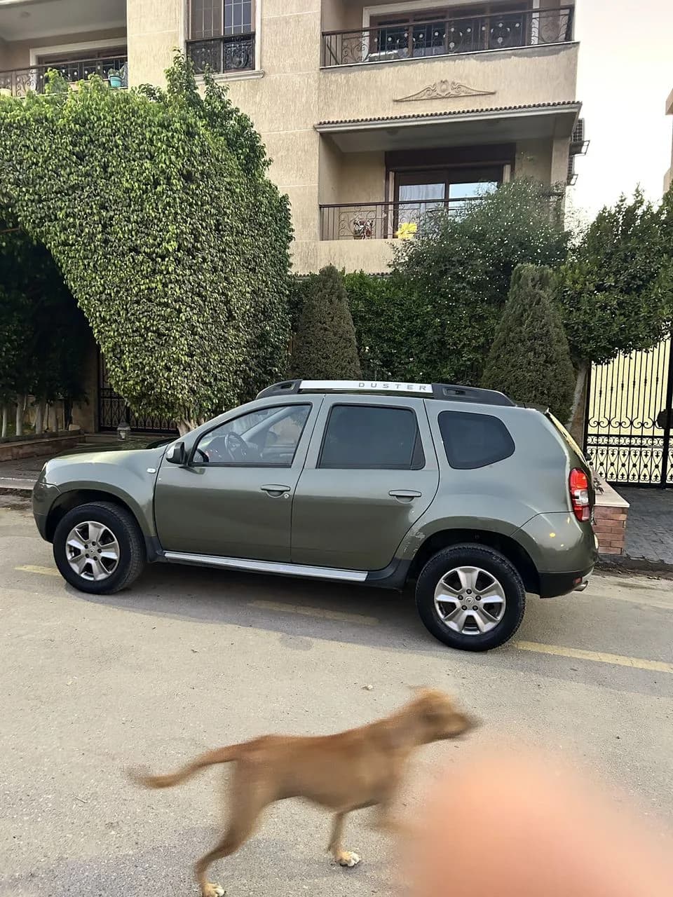 Renault Duster 2016 (5)