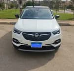 Opel Grandland 2020 (2)