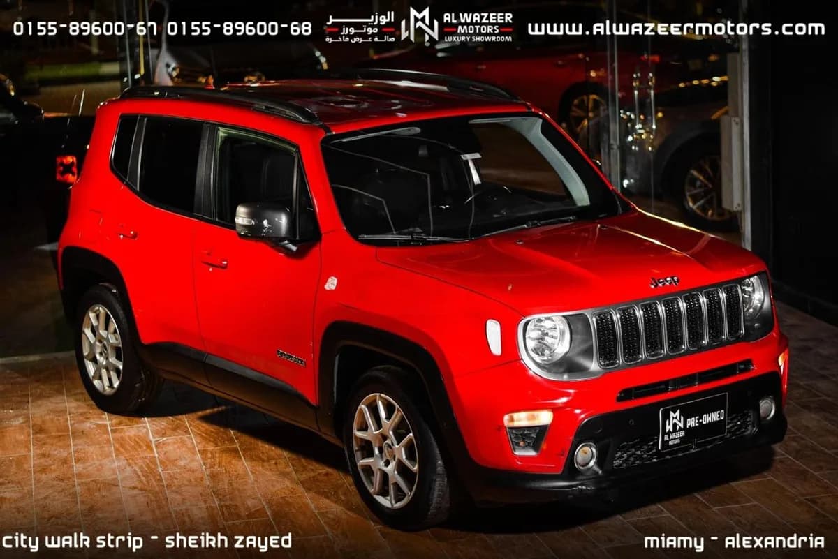 Jeep Renegade 2019 (0)