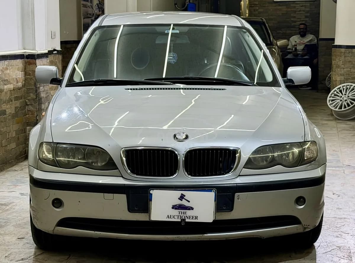 BMW 316 2005 (1)