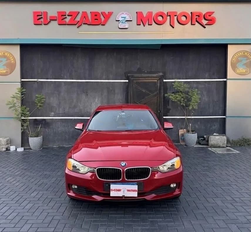 BMW 316 2014 (0)